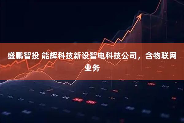 盛鹏智投 能辉科技新设智电科技公司，含物联网业务