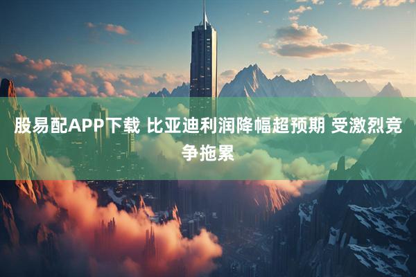 股易配APP下载 比亚迪利润降幅超预期 受激烈竞争拖累