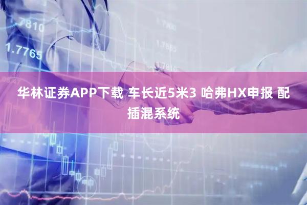 华林证券APP下载 车长近5米3 哈弗HX申报 配插混系统