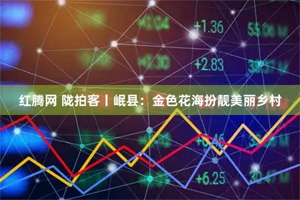红腾网 陇拍客丨岷县：金色花海扮靓美丽乡村